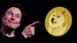 Elon Musk Menyatakan Dogecoin Lebih Baik Dari Pada Bitcoin Untuk Pembayaran